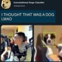 100300361542753_114554393450683.png
