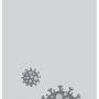 100300361542753_125101945729261.png